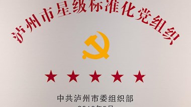 泸州市星级标准化党组织