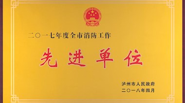 2017年度全市消防工作先进单位