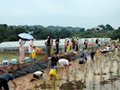 “六一遇端午 粽享童趣”—兴泸投资集团机关工会开展亲子户外活动